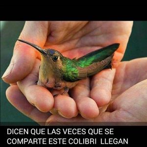 Meet your Posher, Alma